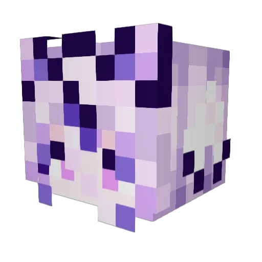 raincandv Minecraft avatar head, 3D render