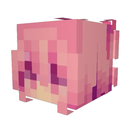 raincloudzz Minecraft avatar head, 3D render