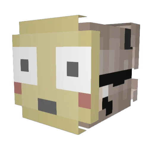 raincoool Minecraft avatar head, 3D render