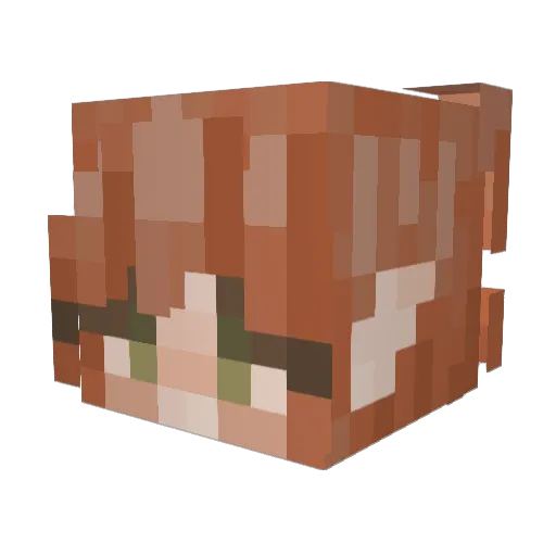 raindayyz Minecraft avatar head, 3D render