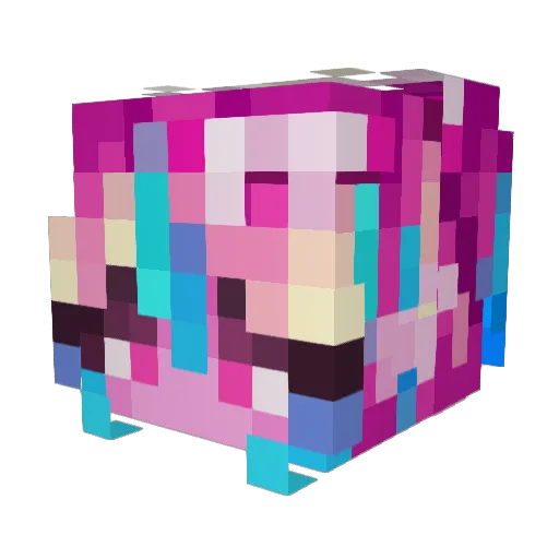 raindr0pxs Minecraft avatar head, 3D render