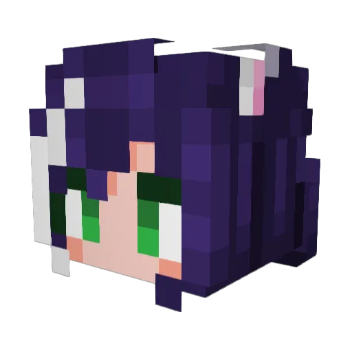 raindra25 Minecraft avatar head, 3D render