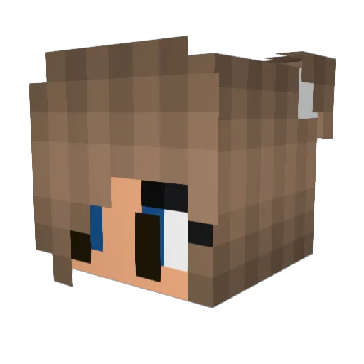 raindrop94 Minecraft avatar head, 3D render