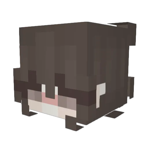raineyyy Minecraft avatar head, 3D render