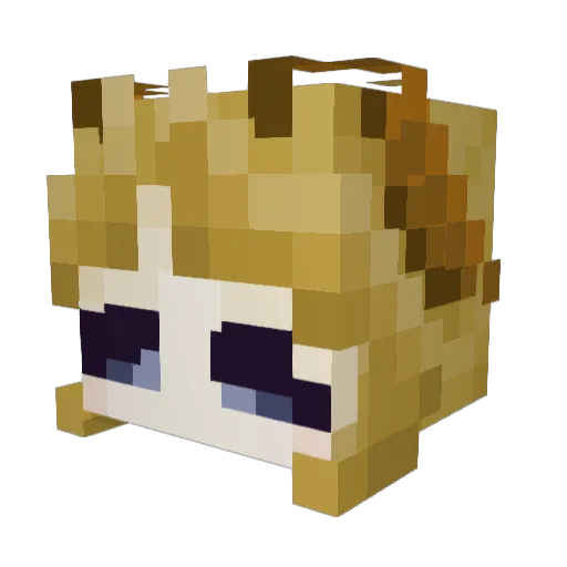 rainfallfish Minecraft avatar head, 3D render