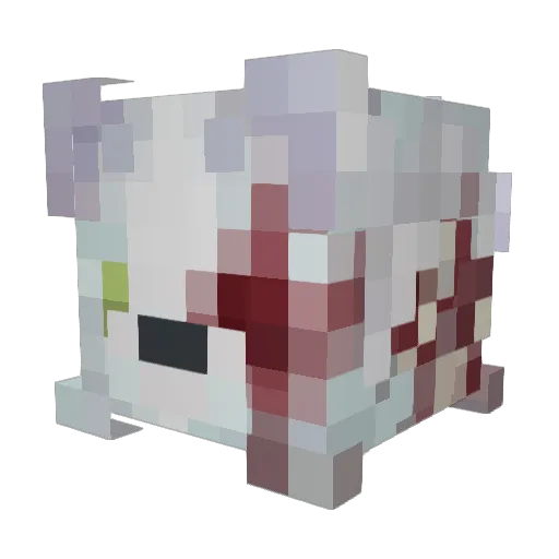 rainhua Minecraft avatar head, 3D render