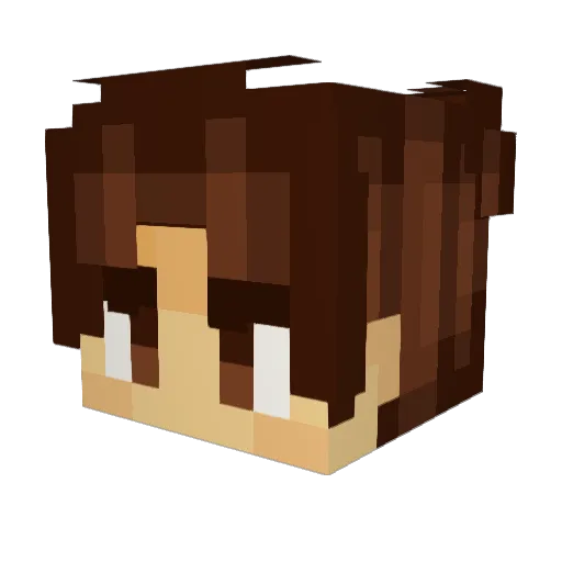 rainii143 Minecraft avatar head, 3D render