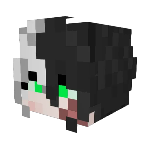 rainiiis Minecraft avatar head, 3D render