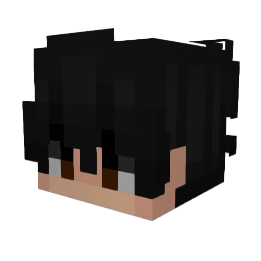 raininess Minecraft avatar head, 3D render
