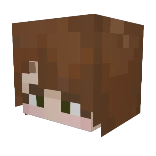 rainingcola Minecraft avatar head, 3D render