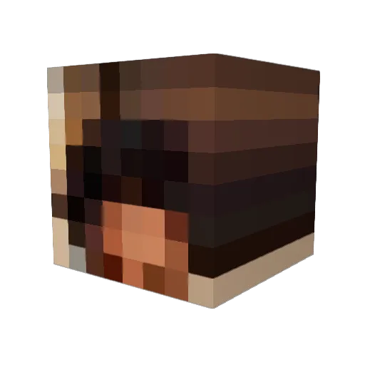 rainingdown0 Minecraft avatar head, 3D render
