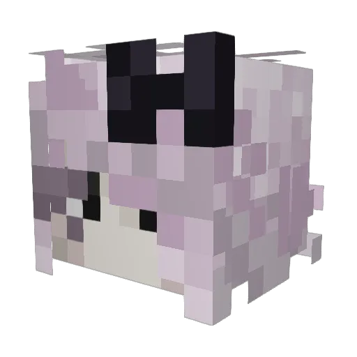 rainingstarss1 Minecraft avatar head, 3D render