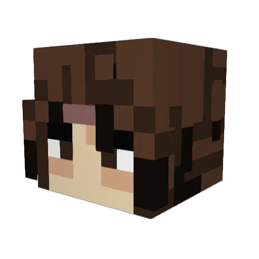 rainingtacos_99 Minecraft avatar head, 3D render