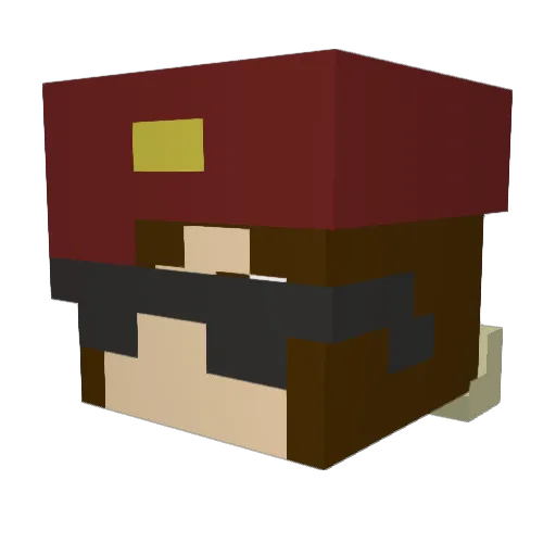 rainingtacos_99 Minecraft avatar head, 3D render