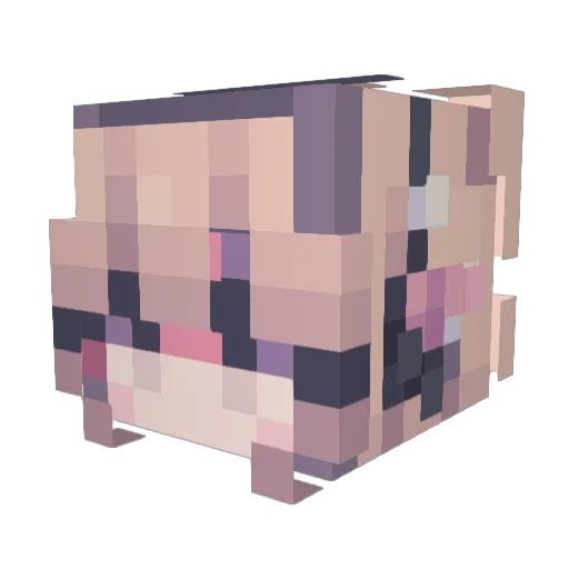 rainistired Minecraft avatar head, 3D render