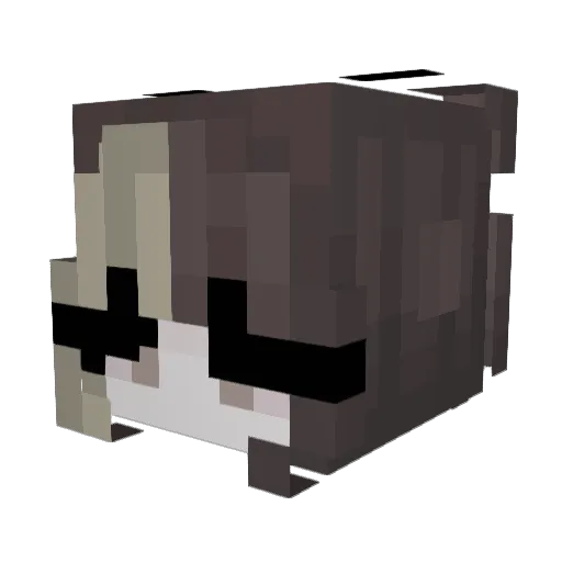 rainlol Minecraft avatar head, 3D render