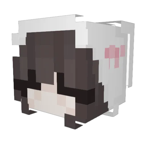 rainlove1120 Minecraft avatar head, 3D render