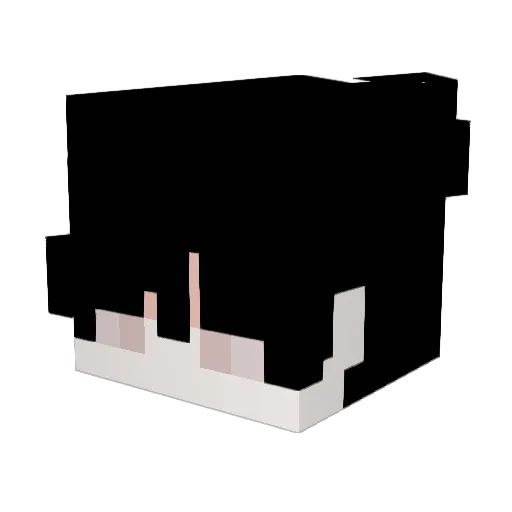 rainouts Minecraft avatar head, 3D render