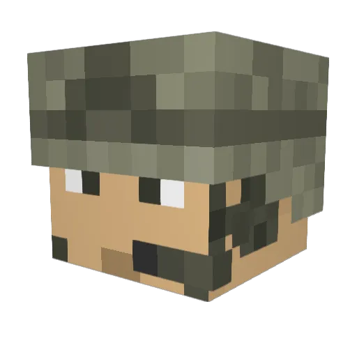 rainsnaker Minecraft avatar head, 3D render