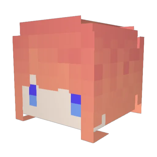 rainspin0607 Minecraft avatar head, 3D render