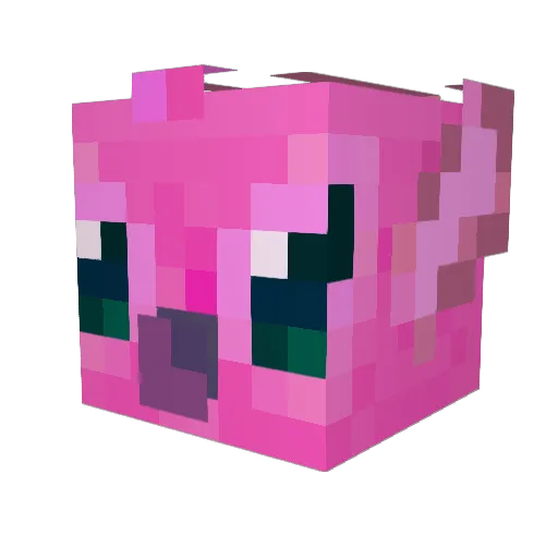 rainsrz Minecraft avatar head, 3D render
