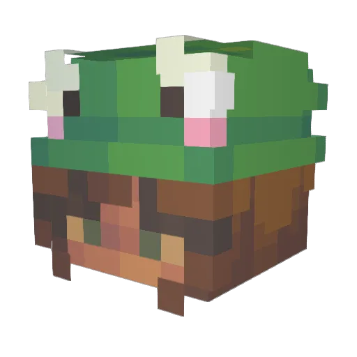 rainstarz Minecraft avatar head, 3D render