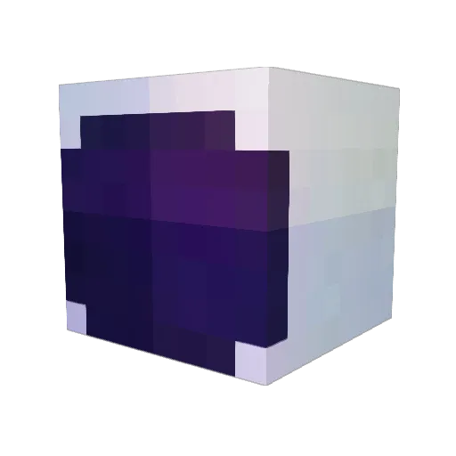 raintier21 Minecraft avatar head, 3D render