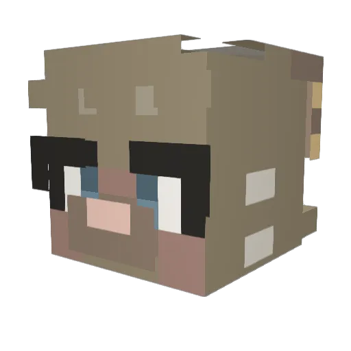rainwav Minecraft avatar head, 3D render