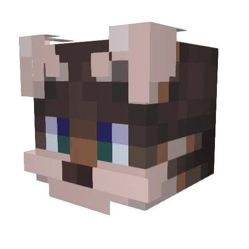 rainwhere Minecraft avatar head, 3D render