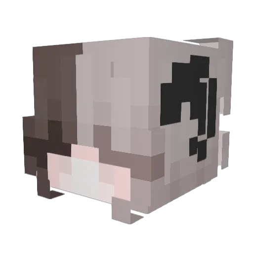 rainxera Minecraft avatar head, 3D render
