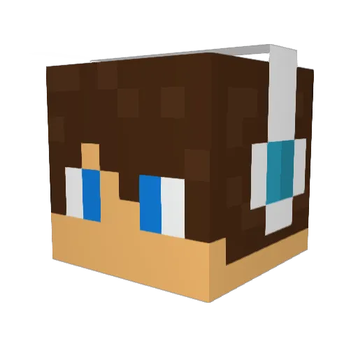 rainy26541 Minecraft avatar head, 3D render