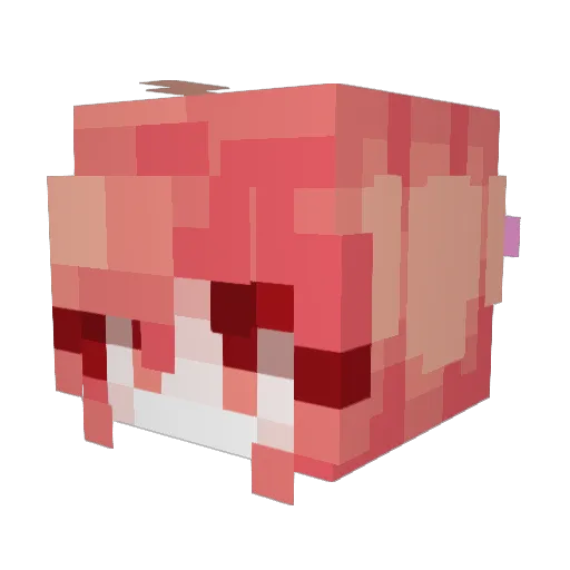 rainybrainylol Minecraft avatar head, 3D render