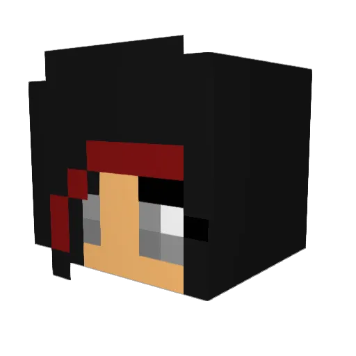 rainyday2000 Minecraft avatar head, 3D render