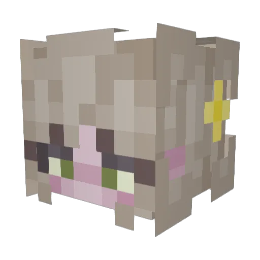 rainydayreds Minecraft avatar head, 3D render