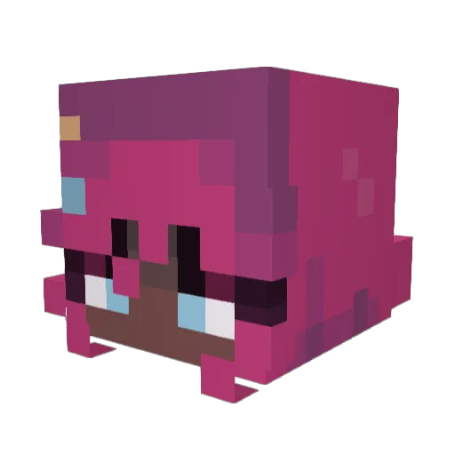 rainyfu Minecraft avatar head, 3D render