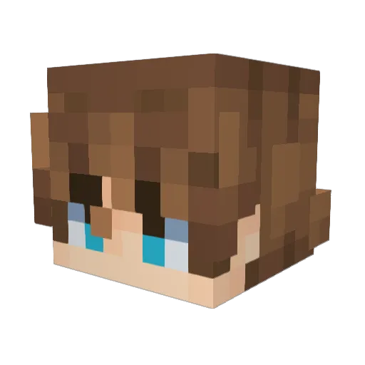 rainylils Minecraft avatar head, 3D render