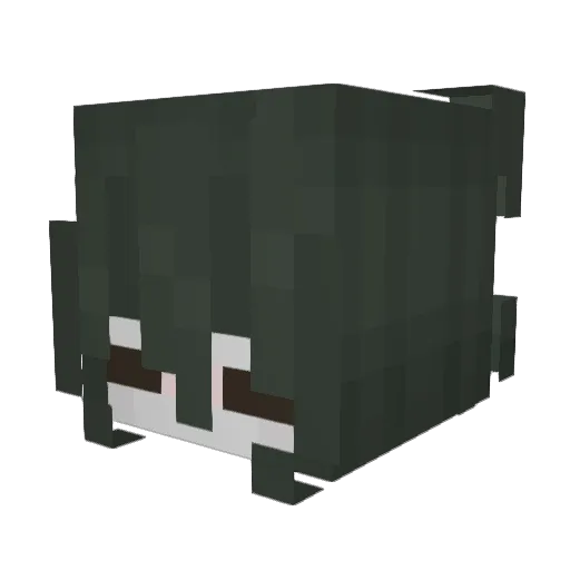rainylumi Minecraft avatar head, 3D render