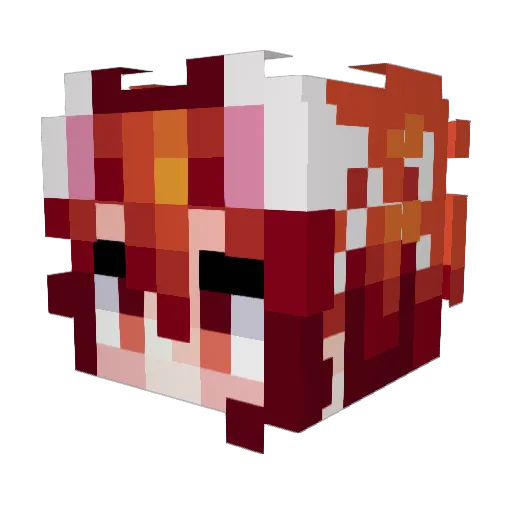 rainymc09 Minecraft avatar head, 3D render