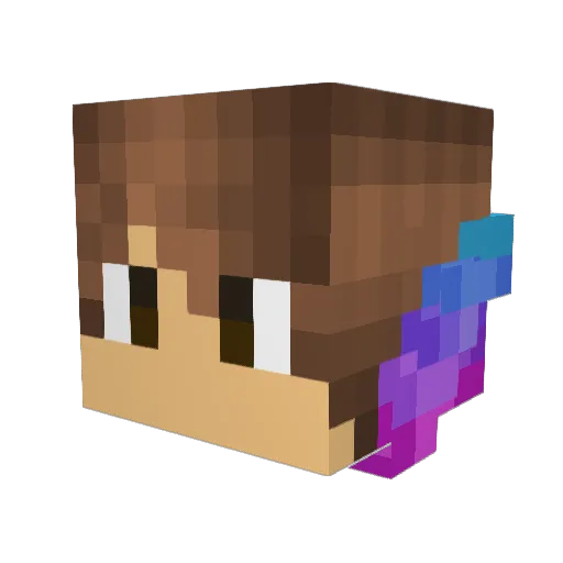 rainyrainr Minecraft avatar head, 3D render