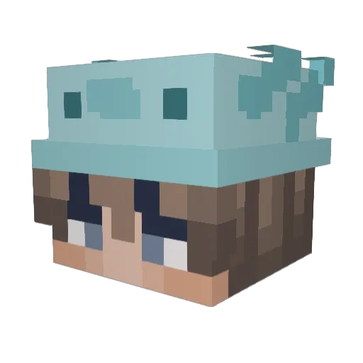 rainyyyGGS Minecraft avatar head, 3D render