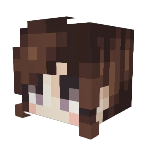 raipunzel Minecraft avatar head, 3D render