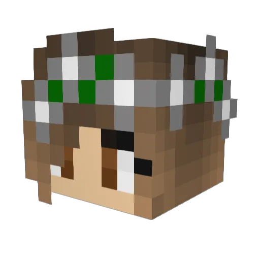 raisin_rabbits Minecraft avatar head, 3D render