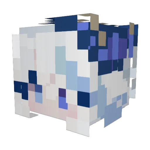 raivie Minecraft avatar head, 3D render