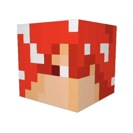raizinnDX Minecraft avatar head, 3D render