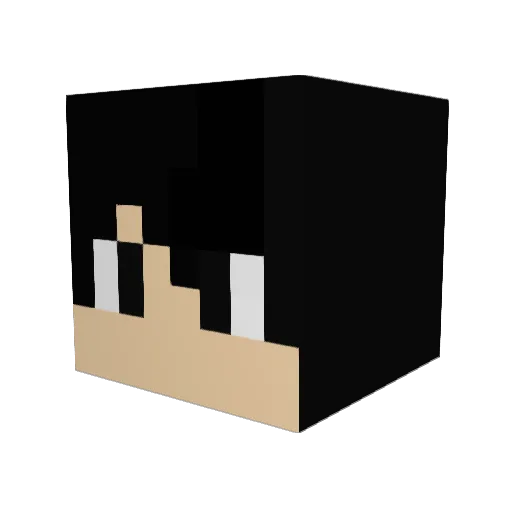 raj2478 Minecraft avatar head, 3D render
