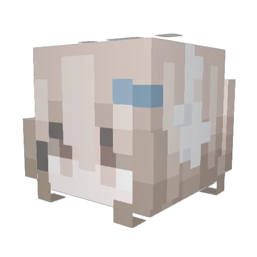 rajbbit Minecraft avatar head, 3D render