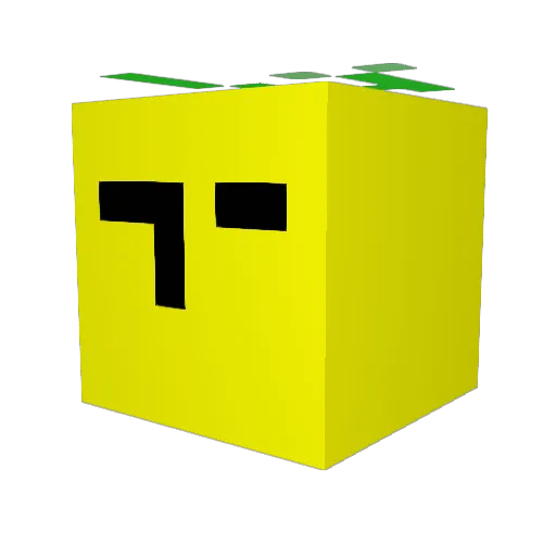raji74 Minecraft avatar head, 3D render