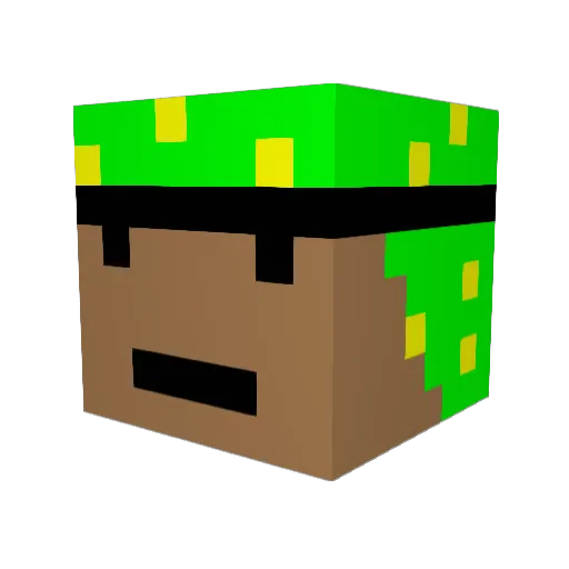 rajok Minecraft avatar head, 3D render
