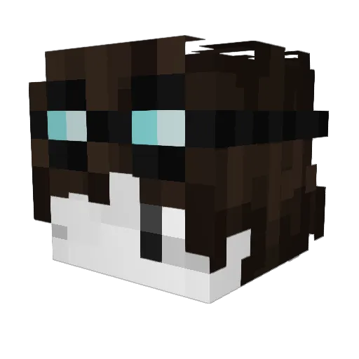 rakAlex01 Minecraft avatar head, 3D render
