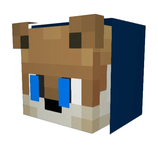 rakan62 Minecraft avatar head, 3D render